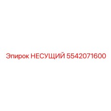 5542071600 НЕСУЩИЙ (Epiroc)
