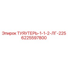 6225597800 ТУЯУТЕРЬ-1-1-2-ЛГ-225 Epiroc