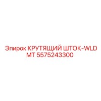 5575243300 КРУТЯЩИЙ ШТОК-WLDMT Epiroc