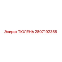 2807192355 ТЮЛЕНЬ Epiroc