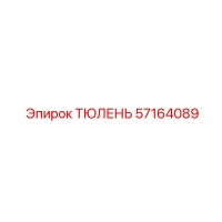 57164089 ТЮЛЕНЬ Epiroc