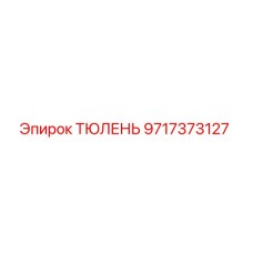 9717373127 ТЮЛЕНЬ Epiroc