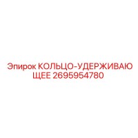 2695954780 КОЛЬЦО-УДЕРЖИВАЮЩЕЕ Epiroc