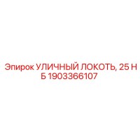 1903366107 УЛИЧНЫЙ ЛОКОТЬ 25 НБ Epiroc