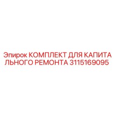 3115169095 КОМПЛЕКТ ДЛЯ КАПИТАЛЬНОГО РЕМОНТА Эпирок
