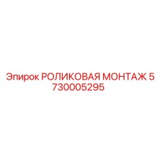 5730005295 РОЛИКОВАЯ МОНТАЖ Epiroc