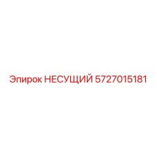 5727015181 НЕСУЩИЙ Epiroc