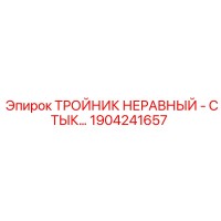 1904241657 ТРОЙНИК НЕРАВНЫЙ - СТЫК Epiroc