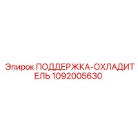 1092005630 ПОДДЕРЖКА-ОХЛАДИТЕЛЬ - Epiroc
