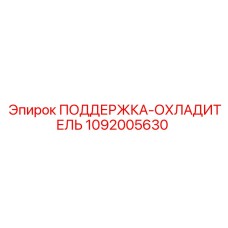 1092005630 ПОДДЕРЖКА-ОХЛАДИТЕЛЬ - Epiroc