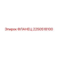 2250518100 ФЛАНЕЦ | Epiroc