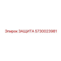 5730023981 ЗАЩИТА Epiroc