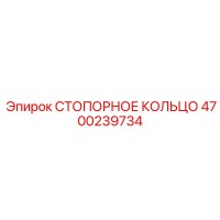 4700239734 СТОПОРНОЕ КОЛЬЦО Epiroc