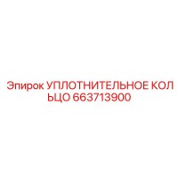 663713900 УПЛОТНИТЕЛЬНОЕ КОЛЬЦО Epiroc