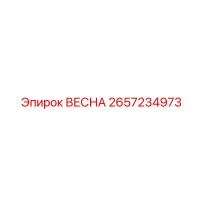 2657234973 ВЕСНА Epiroc