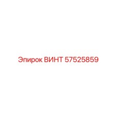 57525859 ВИНТ Epiroc