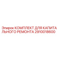 2910018600 КОМПЛЕКТ ДЛЯ КАПИТАЛЬНОГО РЕМОНТА Epiroc