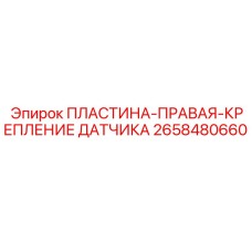 2658480660 ПЛАСТИНА-ПРАВАЯ-КРЕПЛЕНИЕ ДАТЧИКА Эпирок