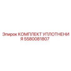 5580081807 КОМПЛЕКТ УПЛОТНЕНИЯ Epiroc