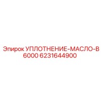 6231644900 УПЛОТНЕНИЕ-МАСЛО-B6000 Эпирок