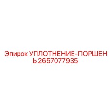 2657077935 УПЛОТНЕНИЕ-ПОРШЕНЬ Epiroc