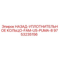 9753235156 НАЗАД-УПЛОТНИТЕЛЬНОЕ КОЛЬЦО-FAM-US-PUMA-8 Epiroc