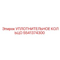 УПЛОТНИТЕЛЬНОЕ КОЛЬЦО 5541374300 Epiroc