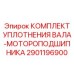 Уплотнение для экстремальных условий работы артикул 2901196900