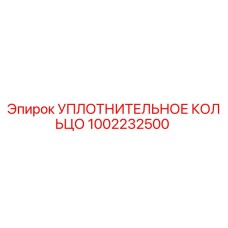 1002232500 УПЛОТНИТЕЛЬНОЕ КОЛЬЦО Epiroc