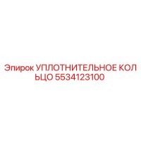 5534123100 Уплотнительное кольцо Epiroc