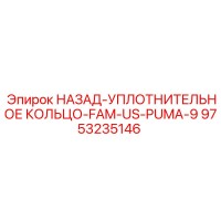 9753235146 НАЗАД-УПЛОТНИТЕЛЬНОЕ КОЛЬЦО-FAM-US-PUMA-9 Epiroc
