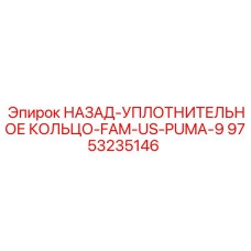 9753235146 НАЗАД-УПЛОТНИТЕЛЬНОЕ КОЛЬЦО-FAM-US-PUMA-9 Epiroc