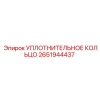 2651944437 УПЛОТНИТЕЛЬНОЕ КОЛЬЦО (Epiroc)