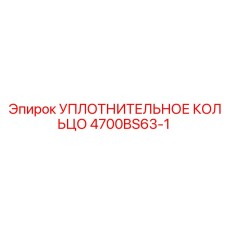 4700BS63-1 УПЛОТНИТЕЛЬНОЕ КОЛЬЦО Epiroc