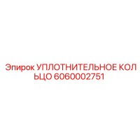 6060002751 УПЛОТНИТЕЛЬНОЕ КОЛЬЦО Epiroc