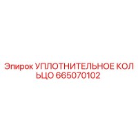 665070102 УПЛОТНИТЕЛЬНОЕ КОЛЬЦО Epiroc