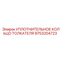 9753204723 УПЛОТНИТЕЛЬНОЕ КОЛЬЦО ТОЛКАТЕЛЯ Epiroc
