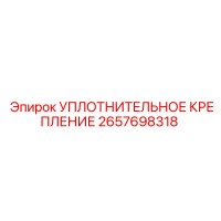 2657698318 УПЛОТНИТЕЛЬНОЕ КРЕПЛЕНИЕ Epiroc