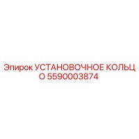 5590003874 УСТАНОВОЧНОЕ КОЛЬЦО Epiroc