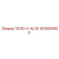 1619291800 ТЕЛО-V-ALVE Epiroc