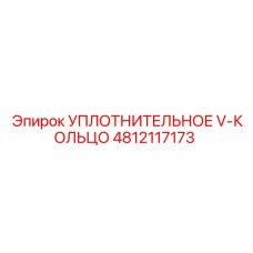 4812117173 УПЛОТНИТЕЛЬНОЕ V-КОЛЬЦО Эпирок