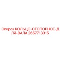 2657713315 КОЛЬЦО-СТОПОРНОЕ-ДЛЯ-ВАЛА Epiroc