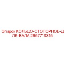 2657713315 КОЛЬЦО-СТОПОРНОЕ-ДЛЯ-ВАЛА Epiroc