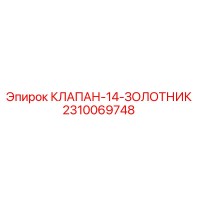 2310069748 КЛАПАН-14-ЗОЛОТНИК Epiroc