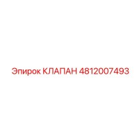 4812007493 КЛАПАН Эпирок