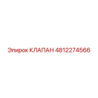 4812274566 КЛАПАН Эпирок
