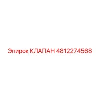 4812274568 КЛАПАН Эпирок
