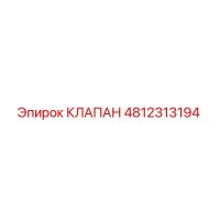 4812313194 Клапан Epiroc