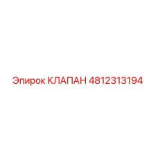 4812313194 Клапан Epiroc