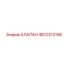 4812313195 Клапан Epiroc